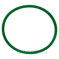 WP1-05004 Circular Belt